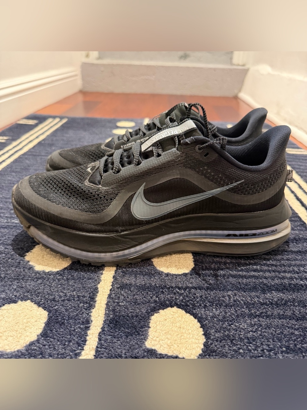 Nike Men's Air Pegasus Premium in Black and Gray Size 11.5
